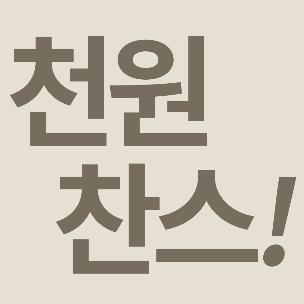 랜덤 쿠션커버♥이벤트 상품♥천원 찬스/1,000원부터 시작~!